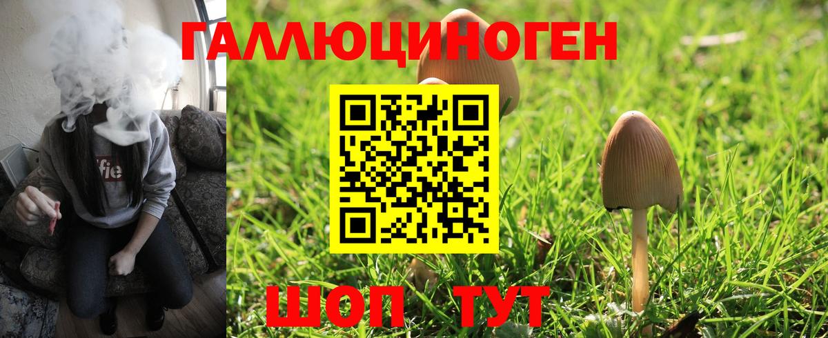 Галлюциногенные грибы Magic Shrooms Симферополь